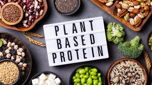 Optimising Muscle Mass with Plant Proteins