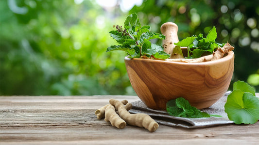 Calm Your Mind Naturally: Ayurvedic Herbs for Stress, Anxiety & Brain Health