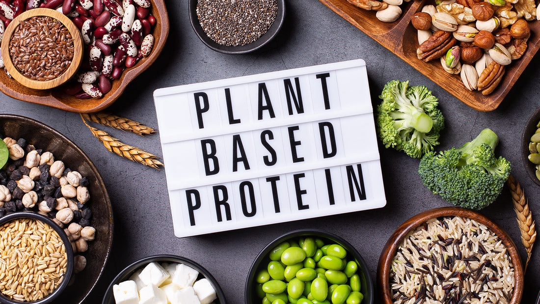 Optimising Muscle Mass with Plant Proteins