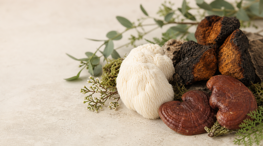 Functional Mushrooms: A Beginner’s Guide to Lion’s Mane, Reishi & Chaga 🍄