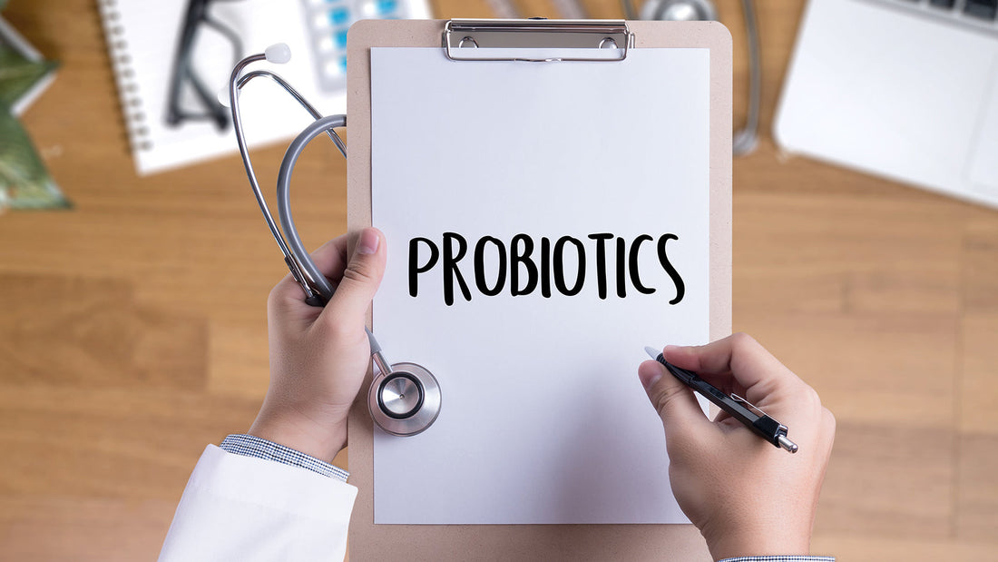 The Power of Probiotics: A Holistic Guide to Gut Health with Good Guru