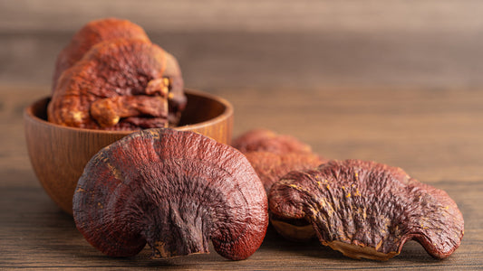 Why Reishi Mushroom Extract Is Known as the “Mushroom of Immortality”