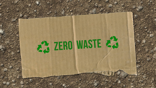 Eco Meets Wellness: The Rise of Zero-Waste Packaging in Vegan Nutrition