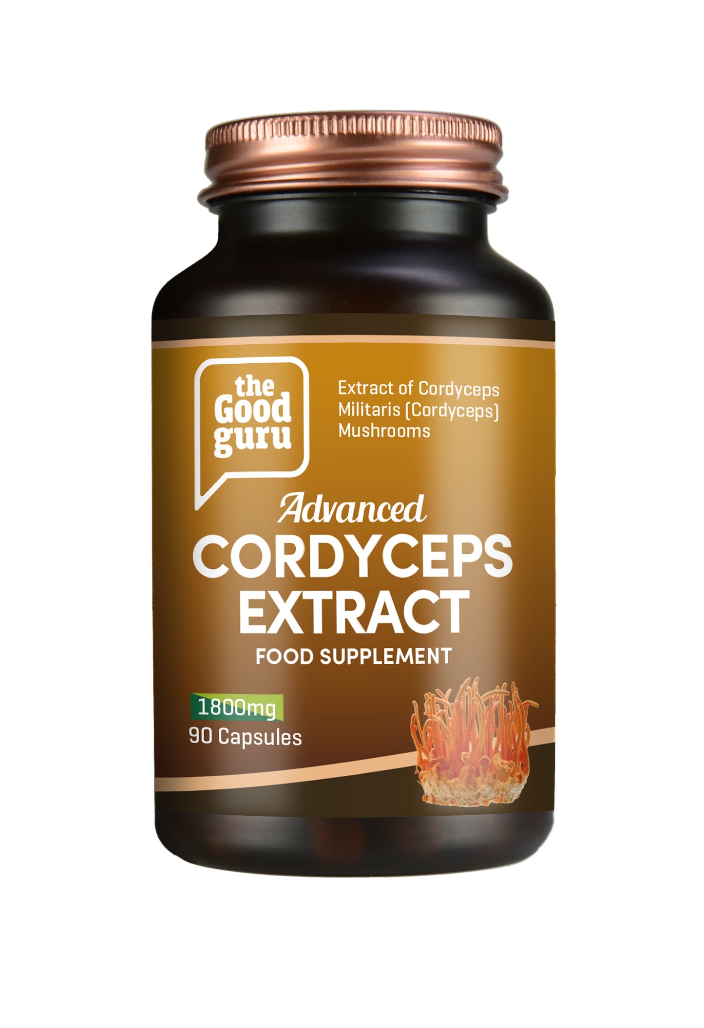 Cordyceps Mushroom Extract